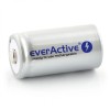 everActive R14 LR14 C NiMh 1.2V Punjiva Baterija 5000mAh